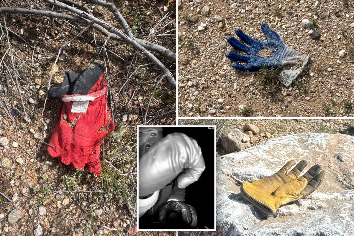 Multiple additional gloves found by The Post in same area near Nancy Guthrie’s house where FBI found potential evidence