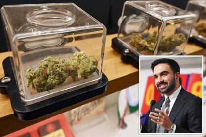 NYC high on its own supply as pot taxes skyrocket — but cannabis insiders say surge can be higher