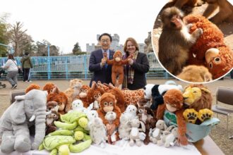 IKEA donates plush toys to viral baby monkey Punch — and you can get one for yourself for 