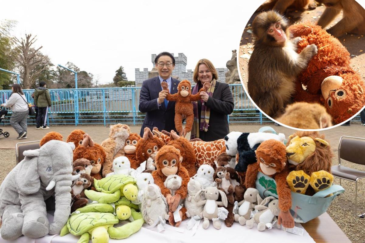 IKEA donates plush toys to viral baby monkey Punch — and you can get one for yourself for 
