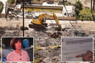 Palisades Fire survivors furious after getting brush clearance fines from city: ‘Insulting and cruel’