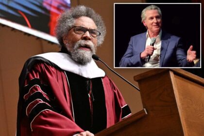 Ex-presidential candidate Cornel West unloads on Gavin Newsom over ‘racist’ remarks: ‘White supremacy mindset’