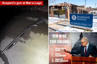 Secret Service, TSA and FEMA workers going unpaid amid DHS shutdown: ‘Bad policy & bad politics’