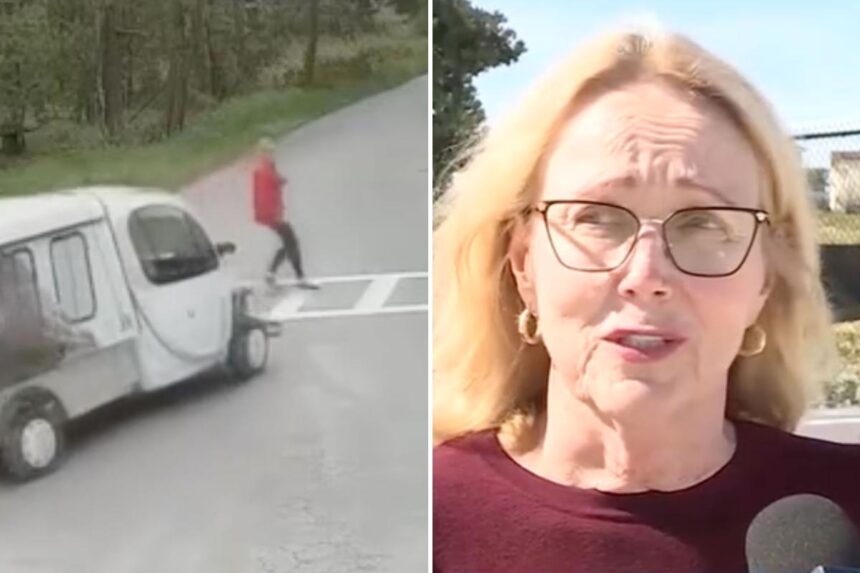 M payday for woman after she was hit by van  in crosswalk
