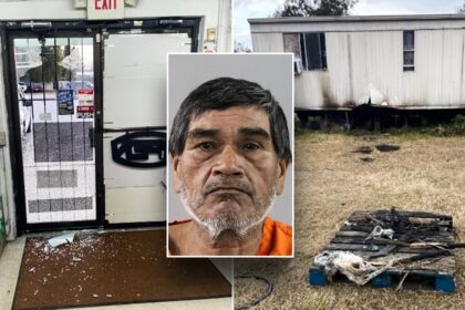 Illegal immigrant in Florida charged with arson, felony criminal mischief, sheriff says
