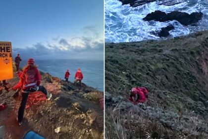 Vehicle falls 500 feet off towering cliff along California scenic roadway, killing one