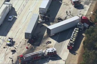 DOT closes major commercial trucking loophole blamed for illegal immigrants causing fatal crashes