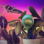 A Cheap Soil Sensor Saved My Fragile Houseplants. Here’s How