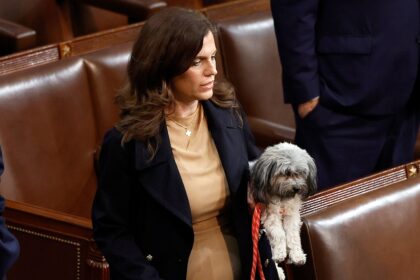Nancy Mace proposes bill to make aliens deportable, inadmissible for animal cruelty