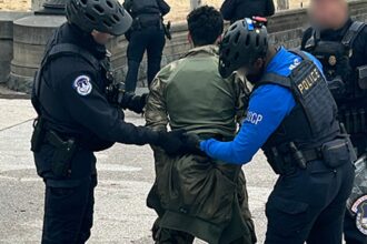 Armed Georgia man arrested at US Capitol told police he wanted to ‘talk’ to Congress: docs