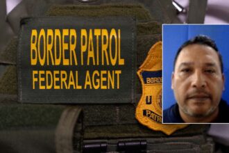 Illegal immigrant arrested after showing up to Florida Border Patrol office for contract IT work