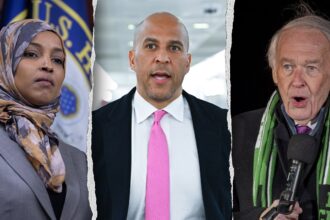 WATCH: Dem lawmaker makes surprising admission about border as others trash Trump’s SOTU ‘lies’