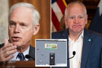 Exclusive | GOP senator demands Minnesota fraud oversight records: ‘Public deserves to know the extent’ 