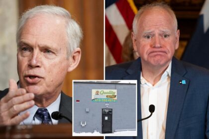 Exclusive | GOP senator demands Minnesota fraud oversight records: ‘Public deserves to know the extent’ 