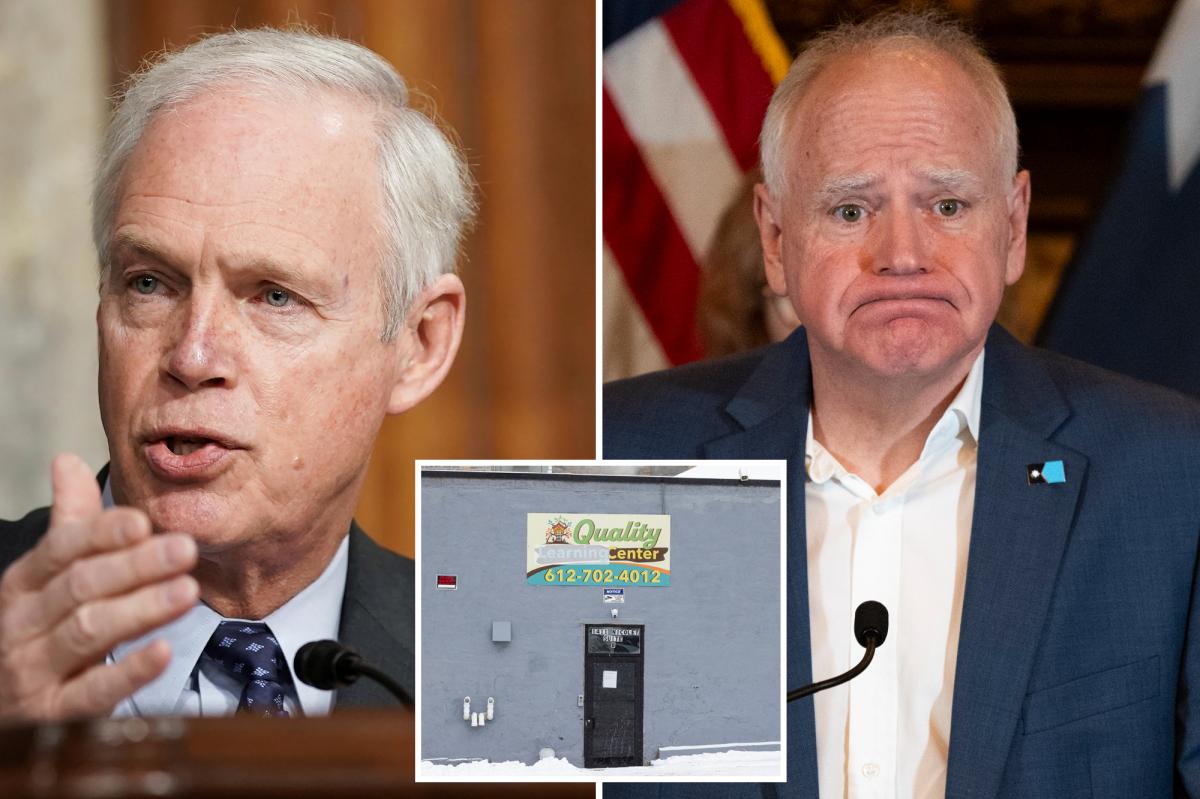 Exclusive | GOP senator demands Minnesota fraud oversight records: ‘Public deserves to know the extent’ 