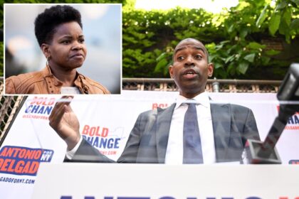 Lt. Gov. Antonio Delgado selects Buffalo socialist as running mate in bid to unseat Hochul