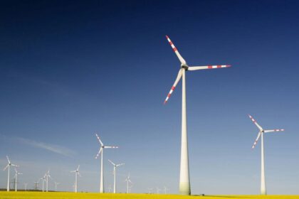 Minnesota green energy program funded by Obama fined for killing bald eagle: ‘National treasure’