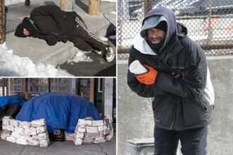 Tragic ‘handful’ of homeless New Yorkers who died in bitter cold had shelter lined up – but still perished outdoors: officials