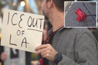 ‘ICE raid alarms’ are coming soon to historically Hispanic LA neighborhood