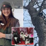 Kittens found abandoned in the freezing cold are rescued and on the mend: ‘Saved by compassion’