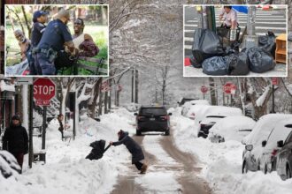 Staggering one-third of NYers want to flee the state, citing cost of living and quality of life: survey