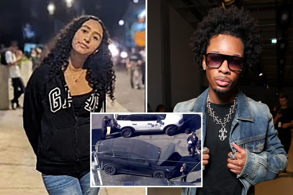 D4vd suspected of murder in Celeste Rivas case, body was badly dismembered and stuffed in cadaver bag: explosive new docs reveal