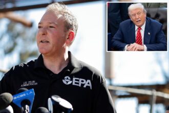 Zeldin slams Newsom, says his daily shots at Trump are hurting fire victims