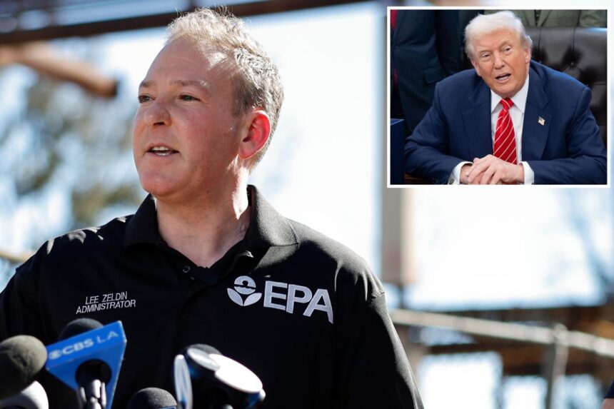 Zeldin slams Newsom, says his daily shots at Trump are hurting fire victims