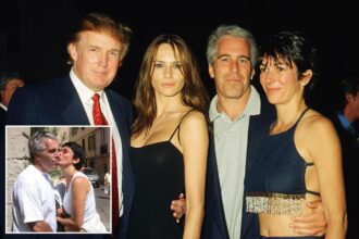 Trump told Palm Beach police chief ‘thank goodness you’re stopping’ Epstein, claimed Ghislaine Maxwell was ‘evil’ in 2006 phone call: FBI document