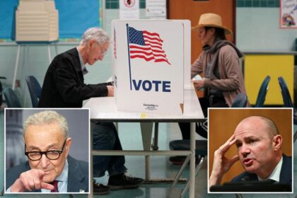 Utah Sen. Mike Lee calls Schumer’s ‘Jim Crow 2.0’ attack on voter ID bill ‘paranoid fantasy’