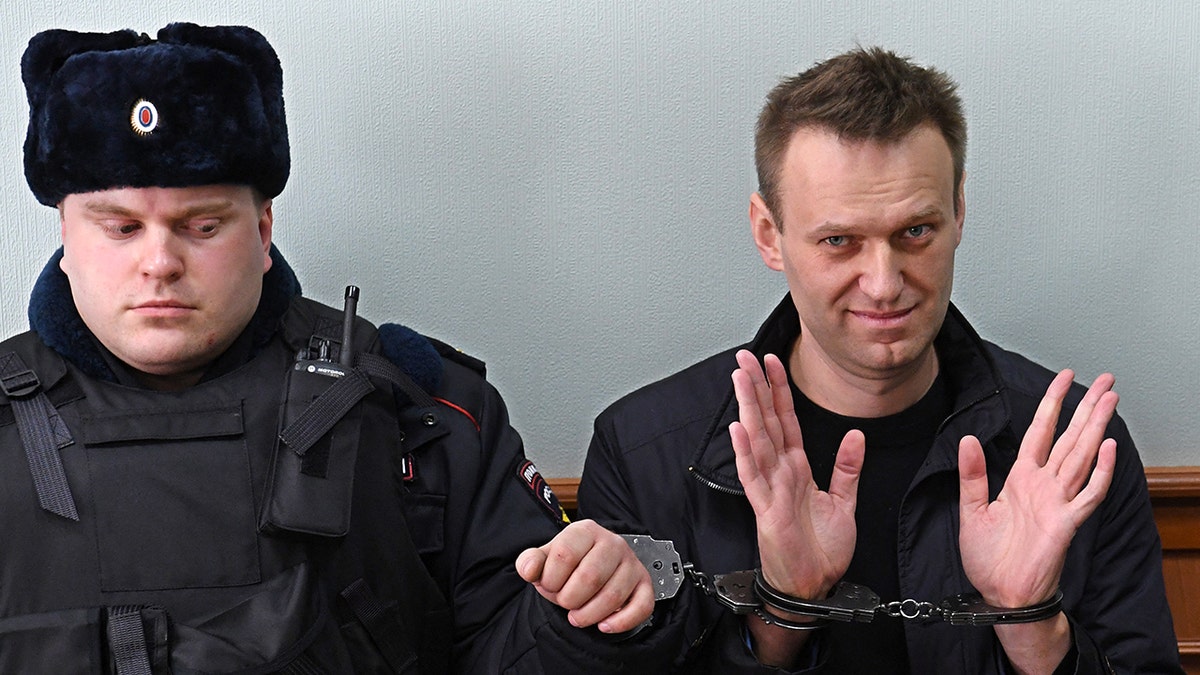 Alexei Navalny after an arrest in 2017