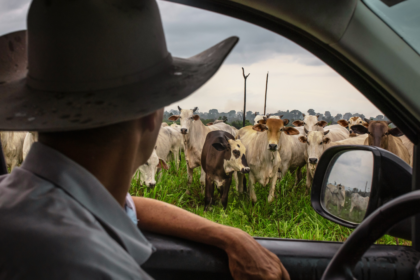 The single crushing problem American cattle ranchers wish Trump would fix instead