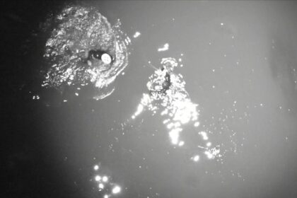 California surfer found clinging to lobster pot buoy after being swept out to sea