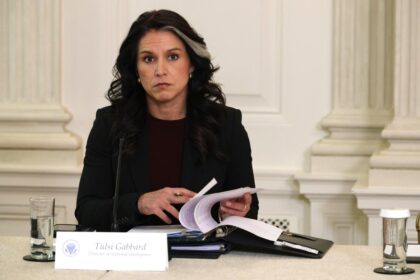 Tulsi Gabbard ends task force that aimed to reform intelligence gathering after less than a year
