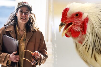 House Dem’s graphic chicken decapitation ‘horrified’ her college roommates: ‘Blood went everywhere’