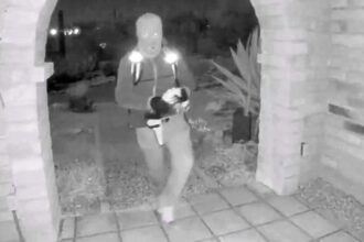 New FBI video in Nancy Guthrie hunt shows jawline, gait details expert says shouldn’t be ignored