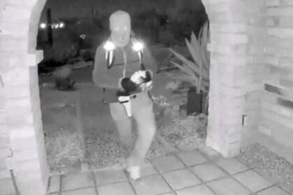 New FBI video in Nancy Guthrie hunt shows jawline, gait details expert says shouldn’t be ignored