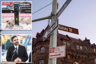 More NYC parking meters could rake in B, think-tank tells Mamdani — as locals blast ‘money grab’