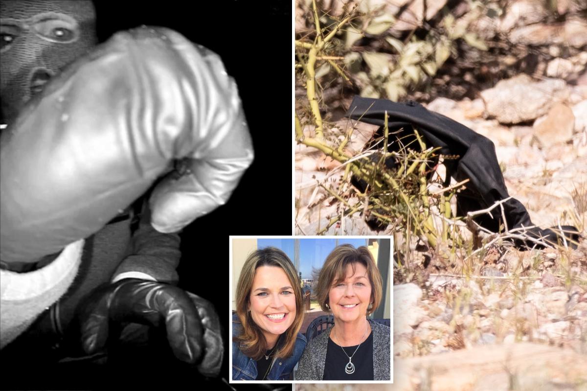 DNA results from glove found near Nancy Guthrie’s home revealed
