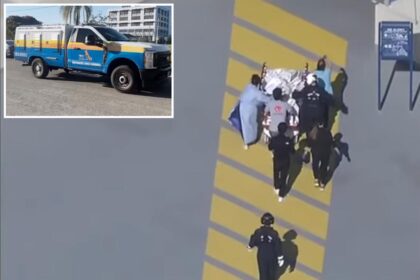 Infant viciously mauled by family bulldog during diaper change in Florida home