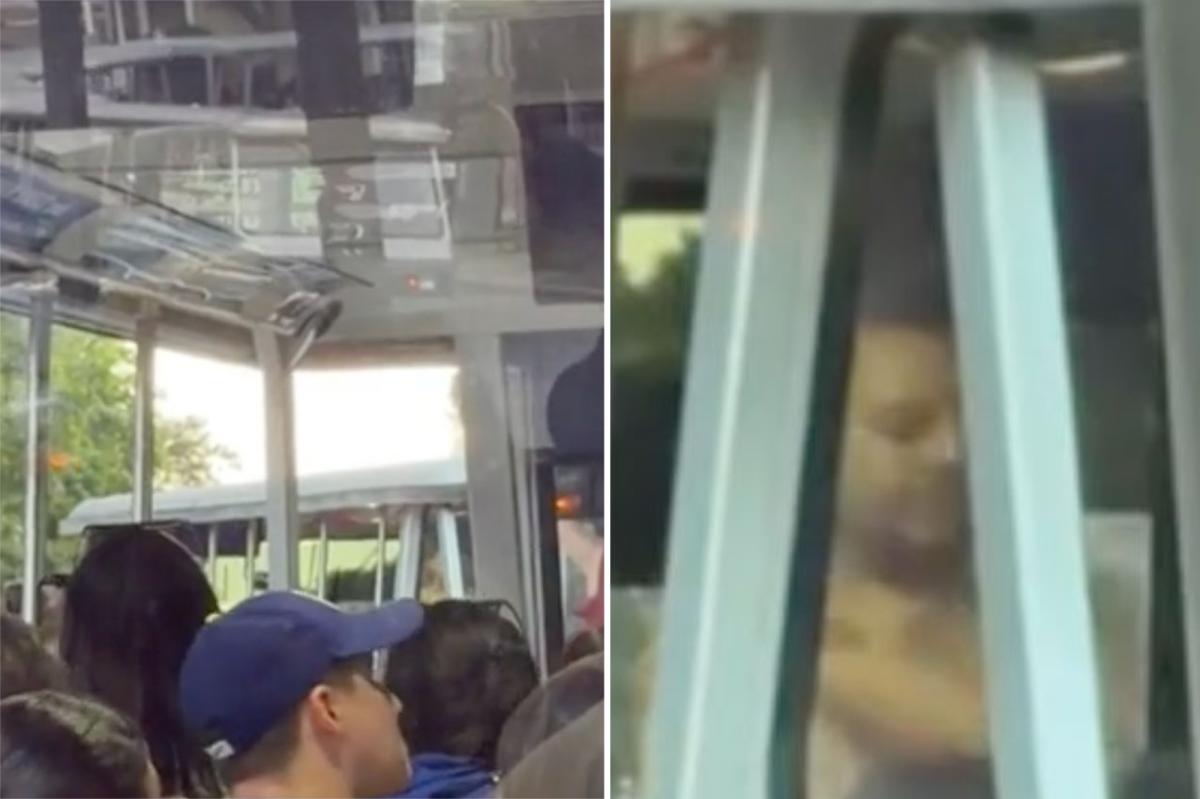 Boozed-up whacko strips down on Universal Studios tour as families get unwanted view of Hollywood set