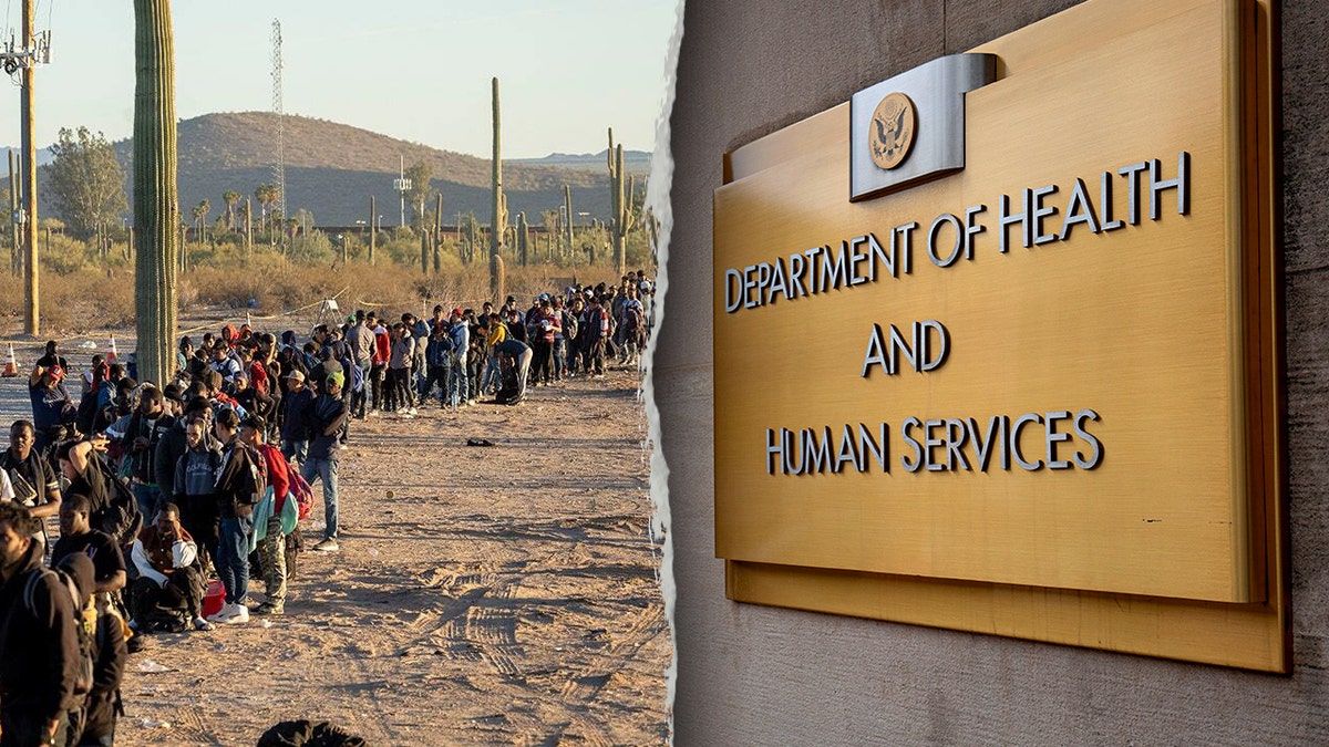 Illegal Immigrants and public health benefits