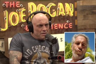 Joe Rogan blasts former podcast guest who tried introducing him to Jeffrey Epstein: ‘B–ch, are you high?’