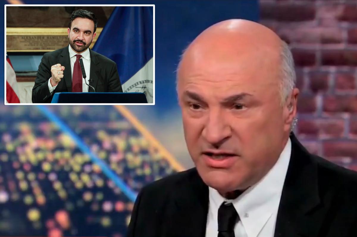 Mamdani’s ‘cuckoo’ property tax hike will land him ‘Real Estate Agent of the Year’ after inevitable exodus, Kevin O’Leary says