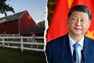 Lawmakers probe National FFA over Chinese Communist Party ties and DEI programs