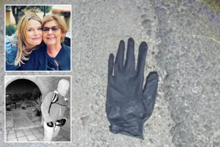 Arizona couple found blood-spotted glove, rock with blood on it in desert mile from Nancy Guthrie’s home: report