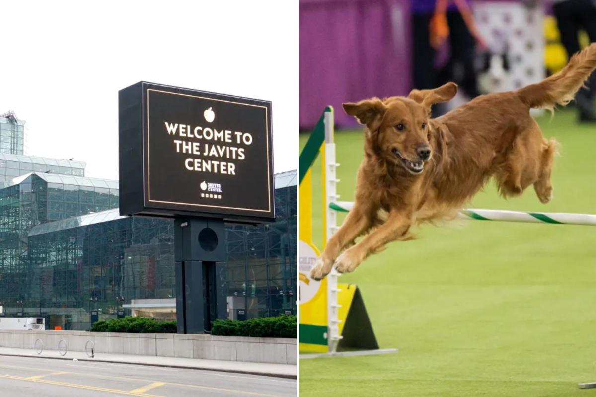Ruff Day: Dope wanted for Javits Center heists nabbed sneaking back in for Westminster Dog Show