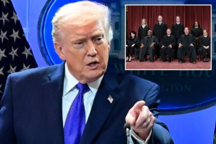 Trump reveals his ‘new hero’ Supreme Court justice after tariffs ruling
