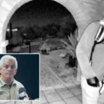 Why Nancy Guthrie hasn’t been found — from cops’ early errors to DNA blunder