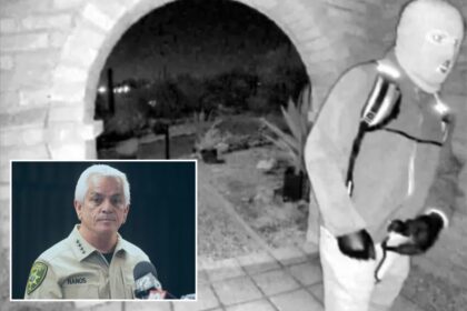 Why Nancy Guthrie hasn’t been found — from cops’ early errors to DNA blunder